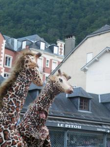 Girafe déambulation échassier en Gironde