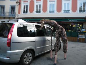 La girafe et la voiture déambulation échassier en Aquitaine