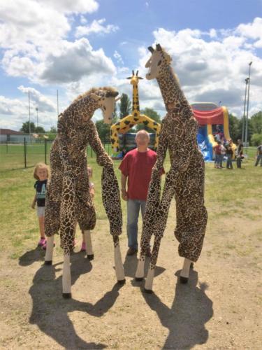Les-girafes-Deambulation-echasses